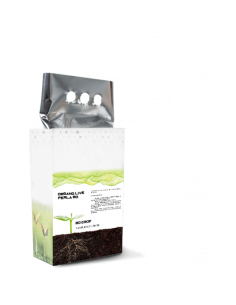 Organo Live Perla 80