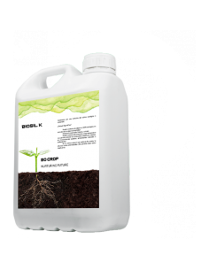 Biosil K